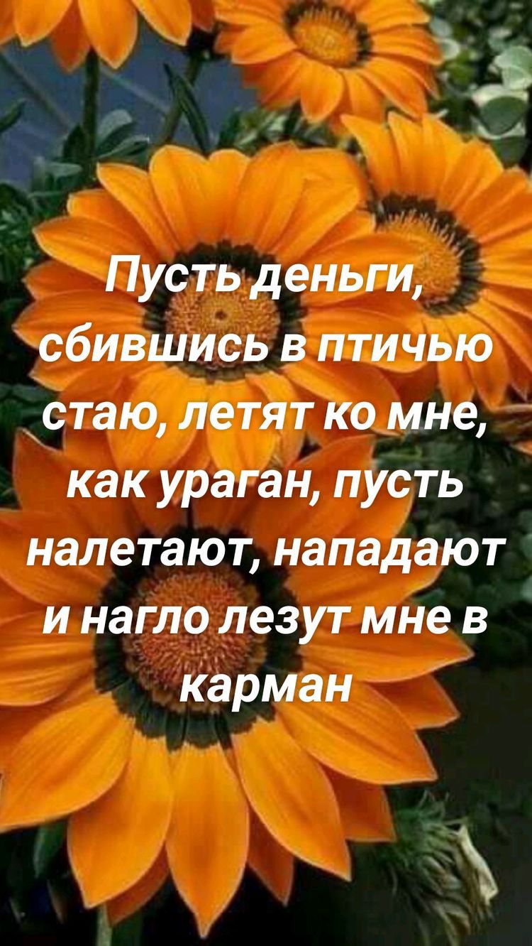 Пусть деньги сбившись в птичью стаю летят ко мне как ураган пусть налетают нападают и нагло лезут мне в карман