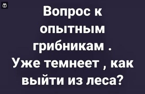 Вопрос к опытным грибникам Уже темнеет как выйти из леса