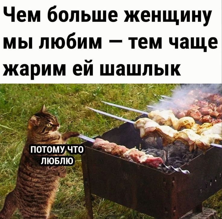 Чем больше женщину мы любим тем чаще жарим ей шашлык _ потшійчто лювпю