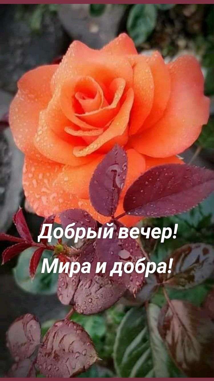 ечер ДА615ЬИ
