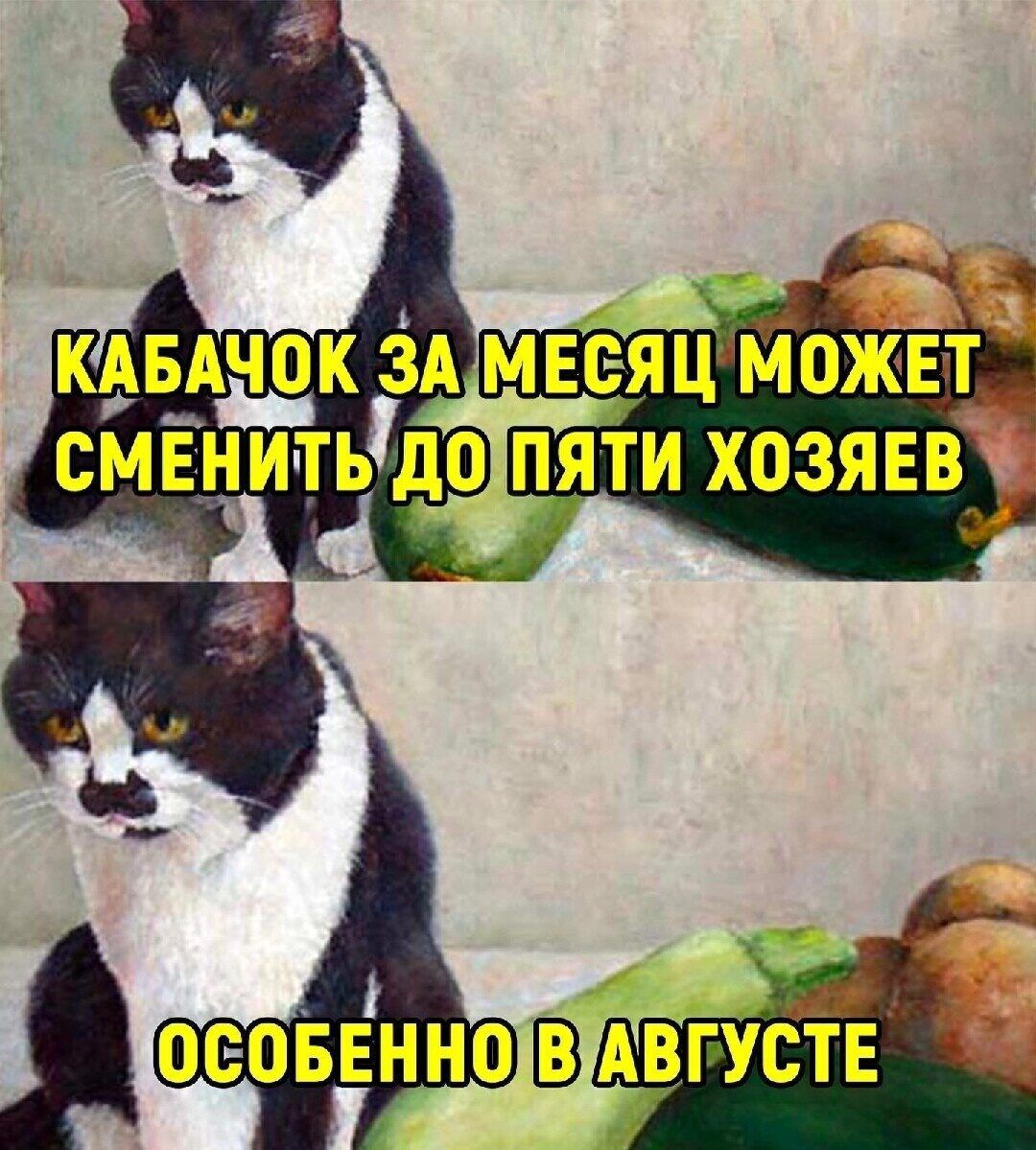 ОСОБЕННОВАВГУСТЕ