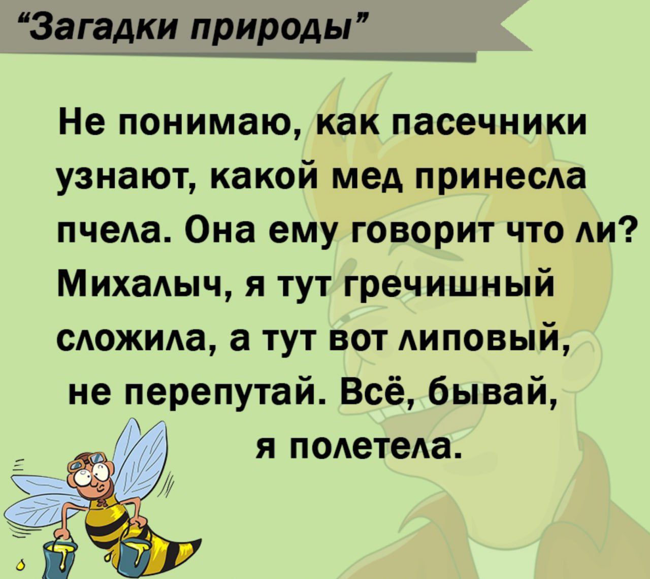 Загадіи природы Не понимаю как пасечники узнают какой мед принесАа пчеда Она ему говорит что Аи Михадыч я тут гречишный сдожида а тут вот АИПОВЫЙ не перепутай Всё бывай я полетеа