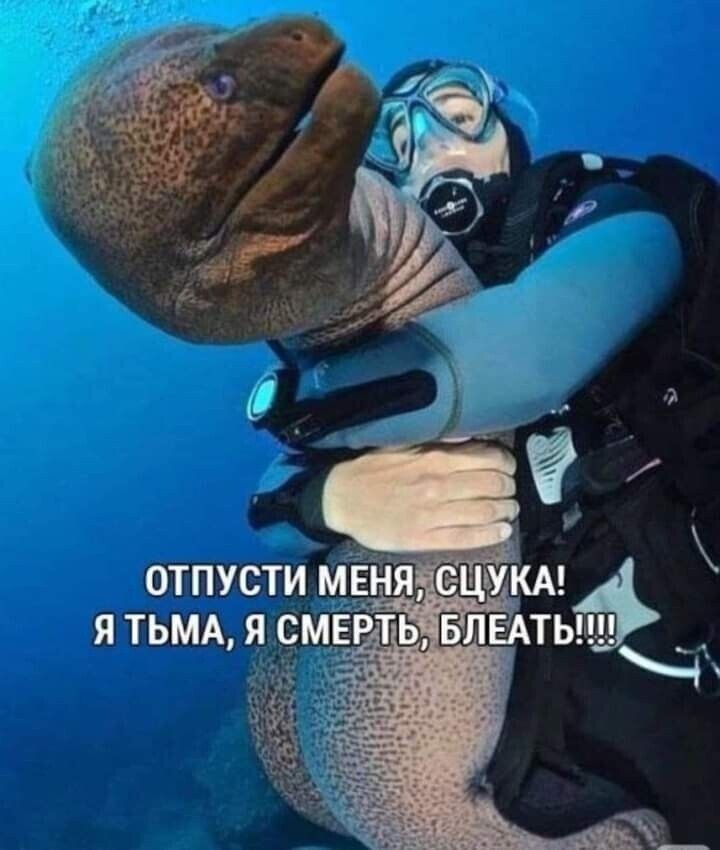 ОТПУСТИ М