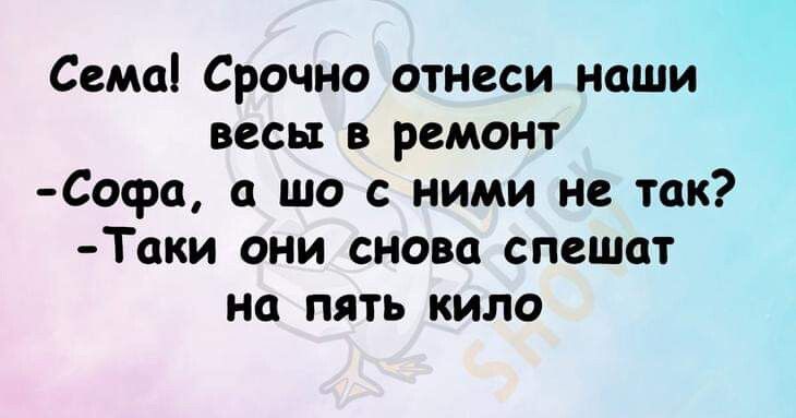 Сема Срочно отнеси наши весь в ремонт Софа шо с ними не так Таки они снова спешат на пять кило