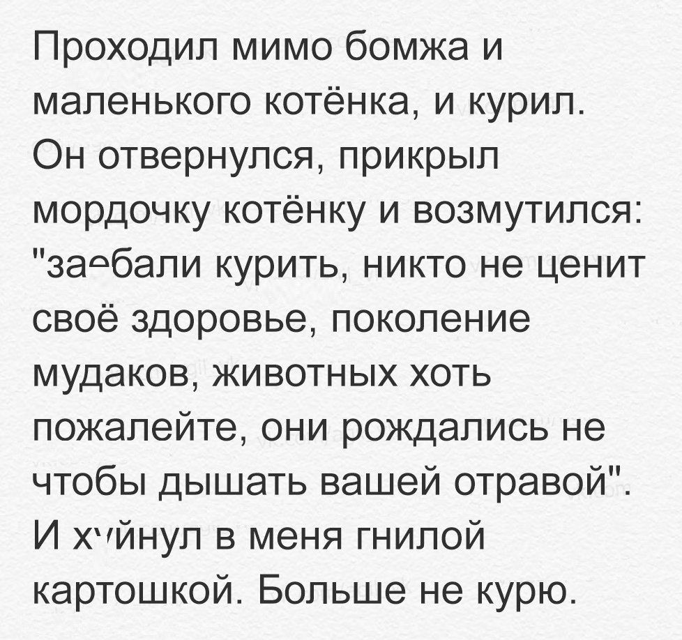 Проходил мимо бомжа и маленького котёнка и курил Он отвернулся прикрыл мордочку котёнку и возмутился заебали курить никто не ценит своё здоровье поколение мудаков животных хоть пожалейте они рождались не чтобы дышать вашей отравой И ХЙНУП в меня гнилой картошкой Больше не курю