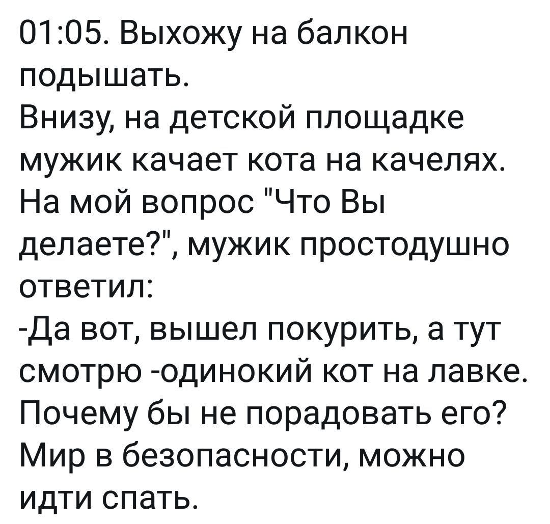 0105 Выхожу на балкон подышать Внизу на детской площадке мужик качает кота на качелях На мой вопрос Что Вы делаете мужик простодушно ответил Да вот вышел покурить а тут смотрю одинокий кот на лавке Почему бы не порадовать его Мир в безопасности можно идти спать