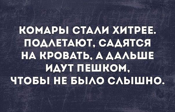 КОМАРЫ СТААИ ХИТРЕЕ ПОААЕТАЮТ СААЯТСЯ НА КРОВАТЬ А АААЬШЕ ИАУТ ПЕШКОМ ЧТОБЫ НЕ БЫАО САЫШНО