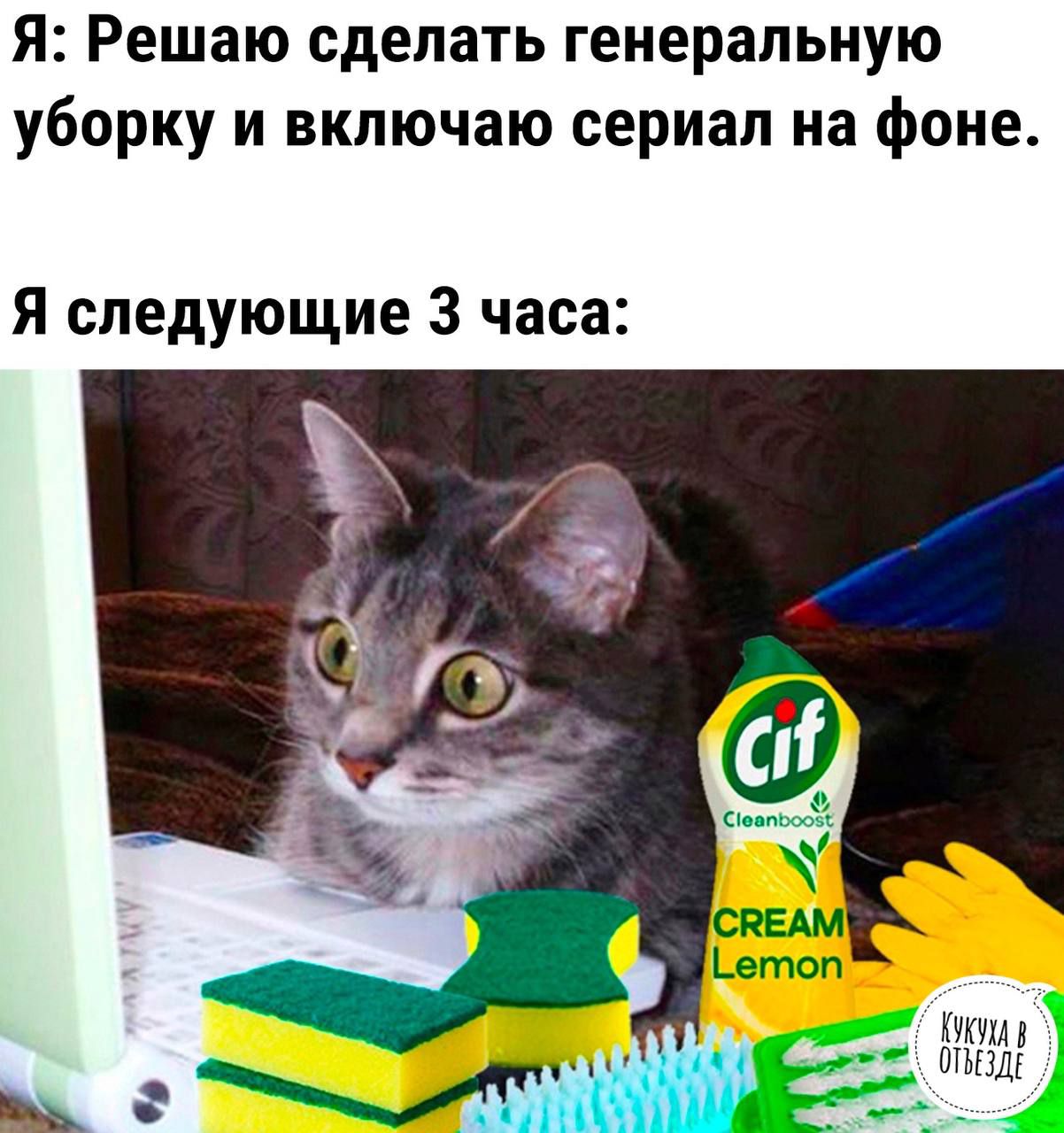 Я Решаю сделать генеральную уборку и включаю сериал на фоне Я следующие 3 часа в Шшл