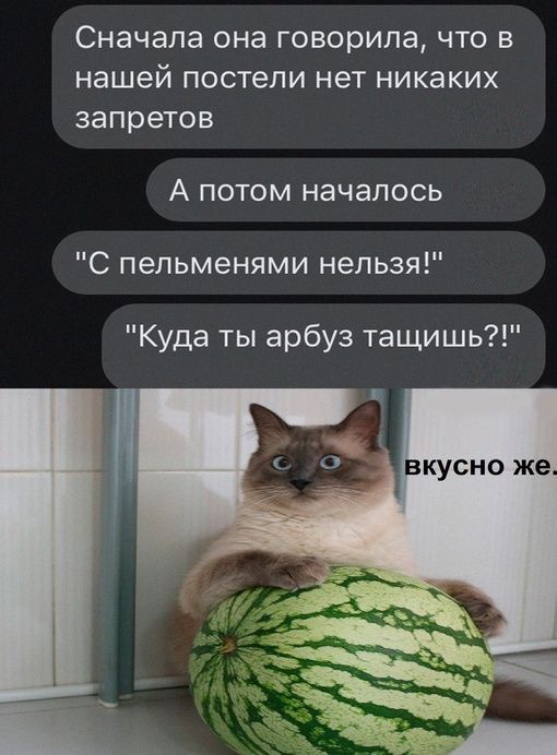 Сначала она ГОВОРИПЗ ЧТО В нашей ПОСТЕПИ нет никаких запретов А потом началось С пельменями нельзя Куда ты арбуз тащишь