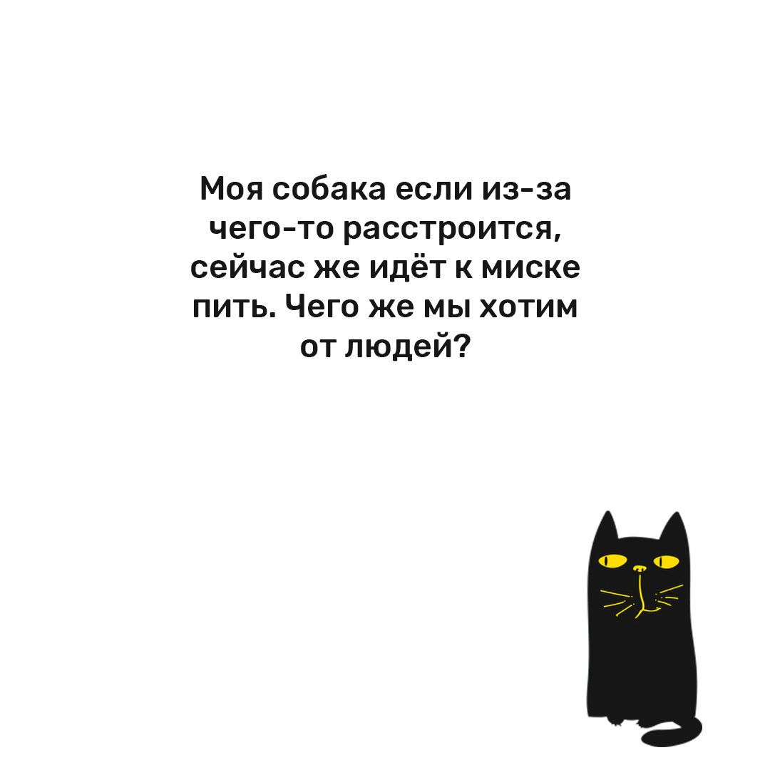 Моя собака если из за чего то расстроится сейчас же Идёт к миске ПИТЬ Чего ЖЕ МЫ ХОТИМ от людей