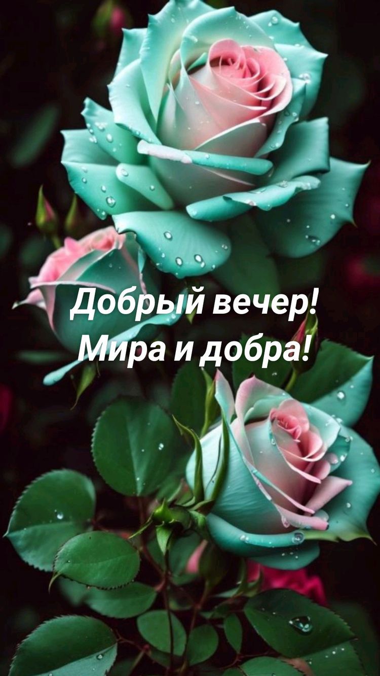 4ЁЁЬЙ ёечер ра и добра і