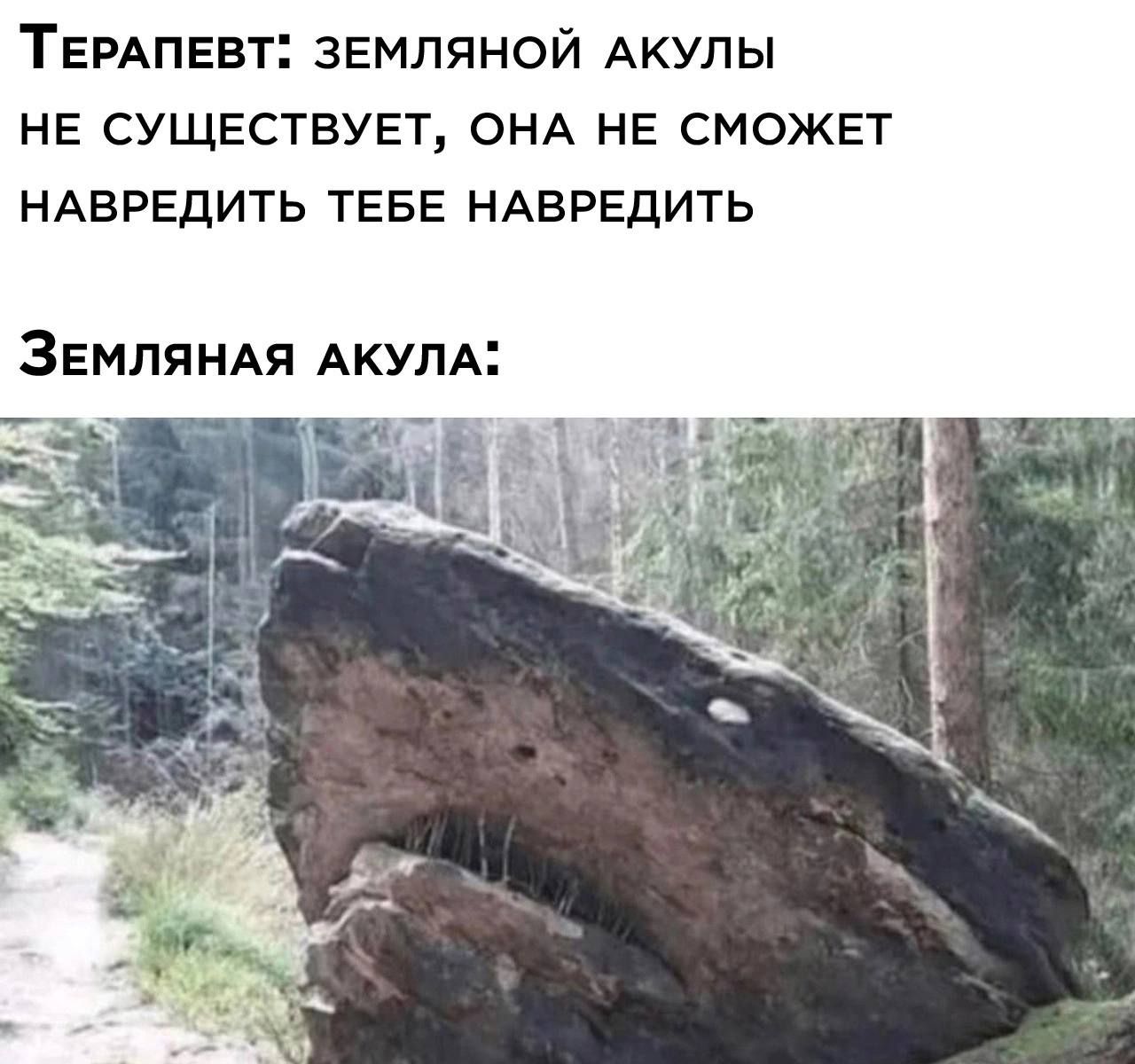 ТЕРАПЕВТ ЗЕМПЯНОЙ АКУПЫ НЕ СУЩЕСТВУЕТ ОНА НЕ СМОЖЕТ НАВРЕДИТЬ ТЕБЕ НАБРЕДИТЬ Землянм АКУЛА