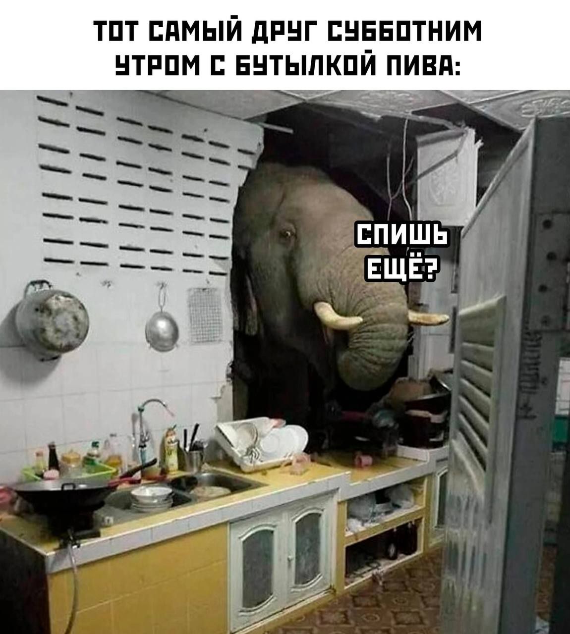ТПТ ЕПМЫЙ дРНГ ЕНБЕПТНИМ НТРПМ БНТЫПКПЙ ПИЕП