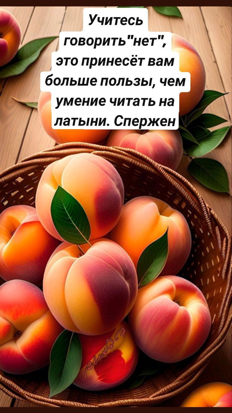 Учитесь говорить нет это принесёт вам больше пользы чем умение читать на латыни Спержен