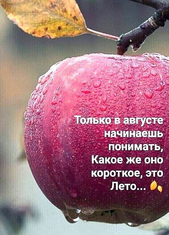 _ им ть Какое же оно короткое это Лето