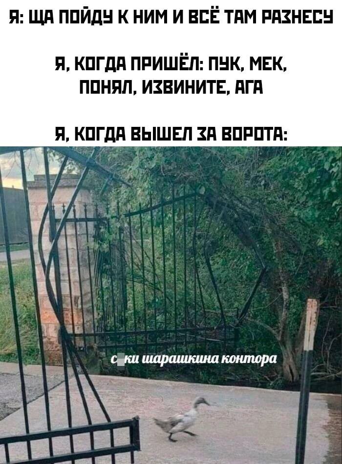 п шп ппйдн к ним и всЁ тям пнзнвпн я кпгдд ппишёл пик мак ппнял извините дгп П КПГдЯ ВЫШЕЛ ЗП ВПРПТП