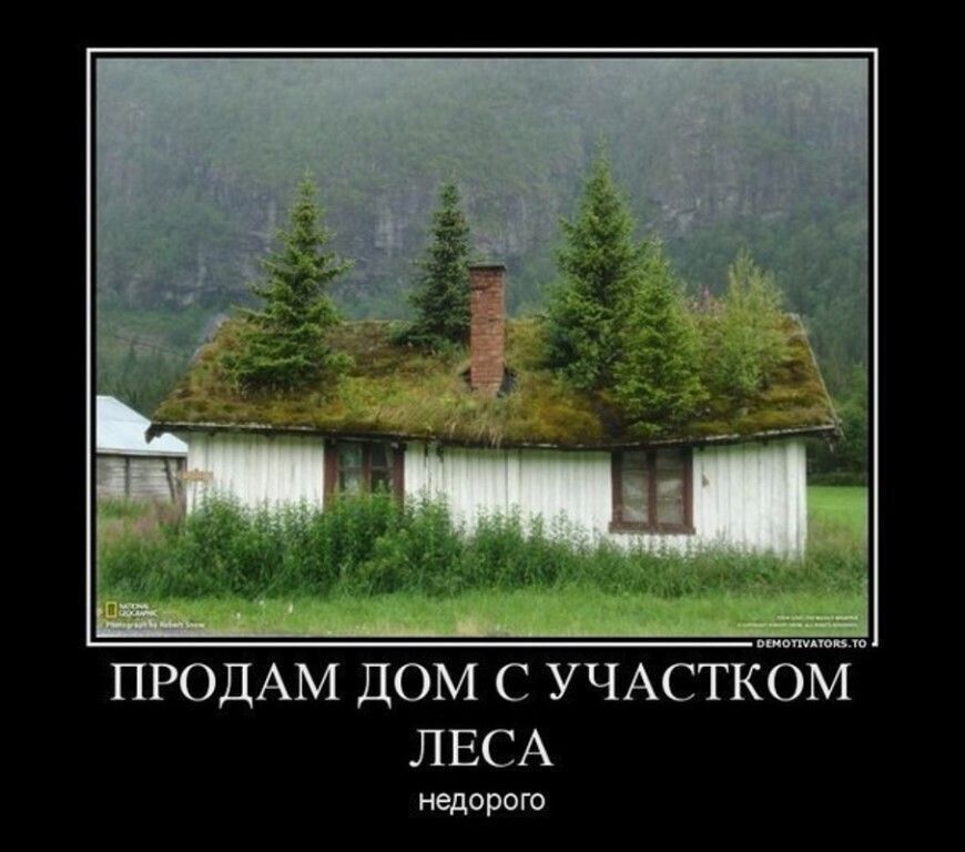 _ ПРОДАМ ДОМ С УЧАСТКОМ ЛЕСА недаром