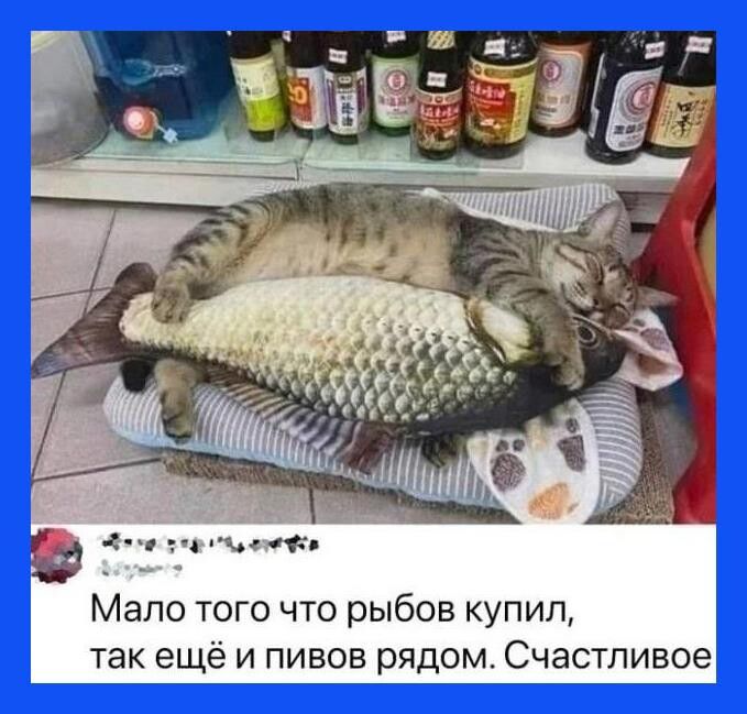 Мало того что рыбов купил так еще и пивов рядом Счастливое