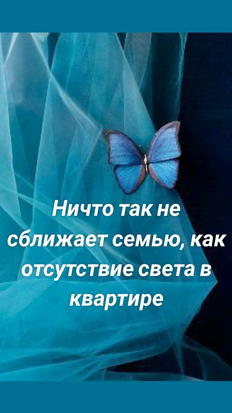 Ничто так сближает отсутствие шта квартире