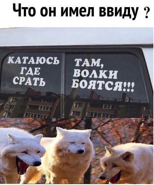 Что он имел ввиду КАТАЮСЬ тдм РАЕ водки СРАТЬ Боятся