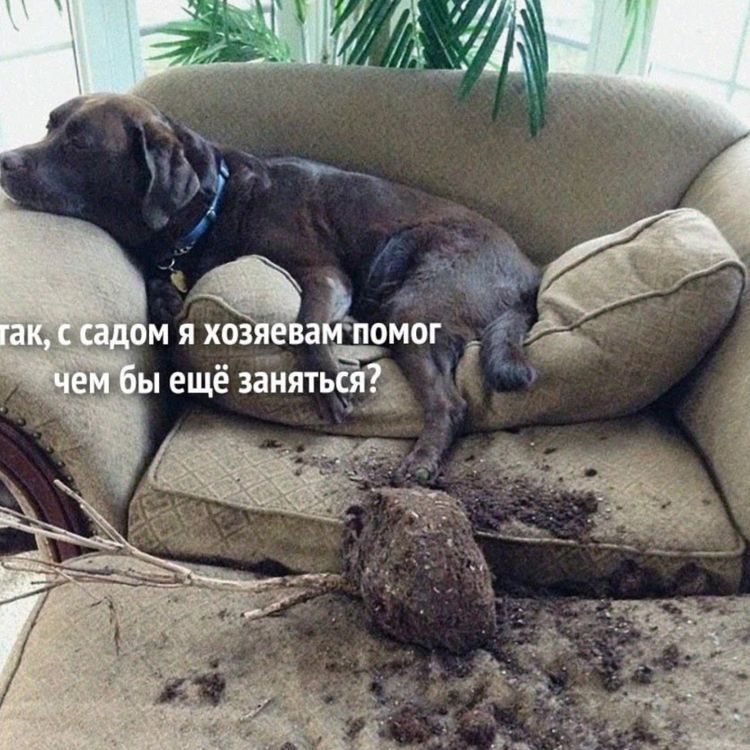 М Я ЗХОЗБЕЗЁ ОМБГ ыеще занят