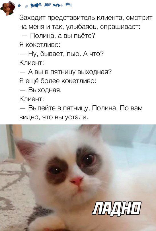 о А Заходит представитель клиента смотрит на меня и так улыбаясь спрашивает Полина вы пьете Я кокетливо Ну бывает пью А по Клиент А вы в пятницу выходная Я ещё более кокетливо Выходная Клиент Выпейте в пятницу Полина По вам видно что вы устали