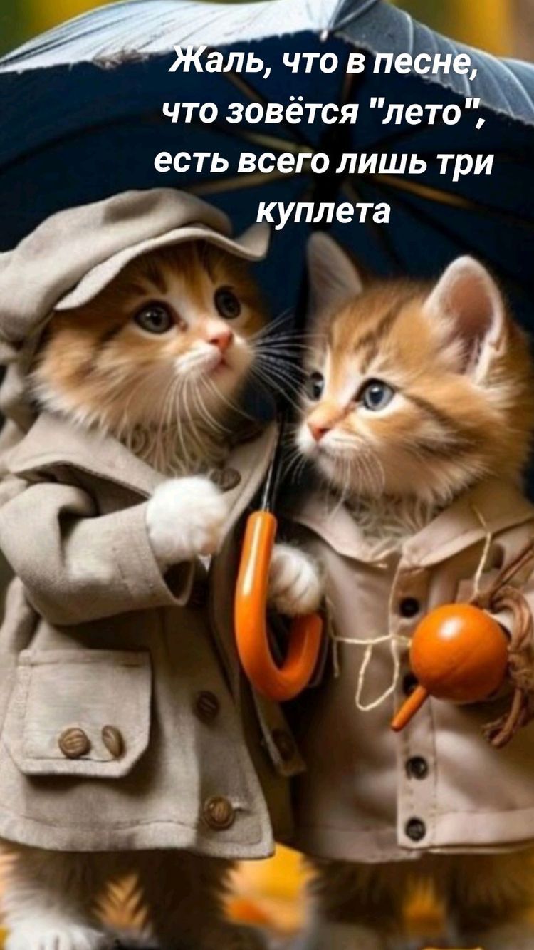 4 аль что 5 что зовётся лето ЕСТЬ всего ЛИШЬ ТРИ А З