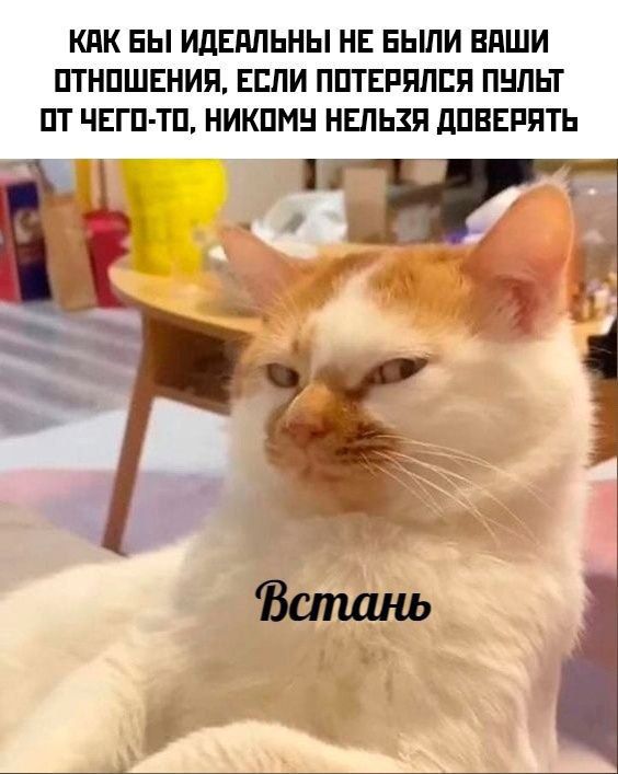 КПК БЫ ИдЕЛЛЬНЫ НЕ БЫЛИ ВПШИ ПТНПШЕНИП ЕСЛИ ППТЕРЯЛЕЯ ПНПЬТ ПТ ЧЕГП ТП НИКПМН НЕЛЬЗЯ дПВЕРЯТЬ
