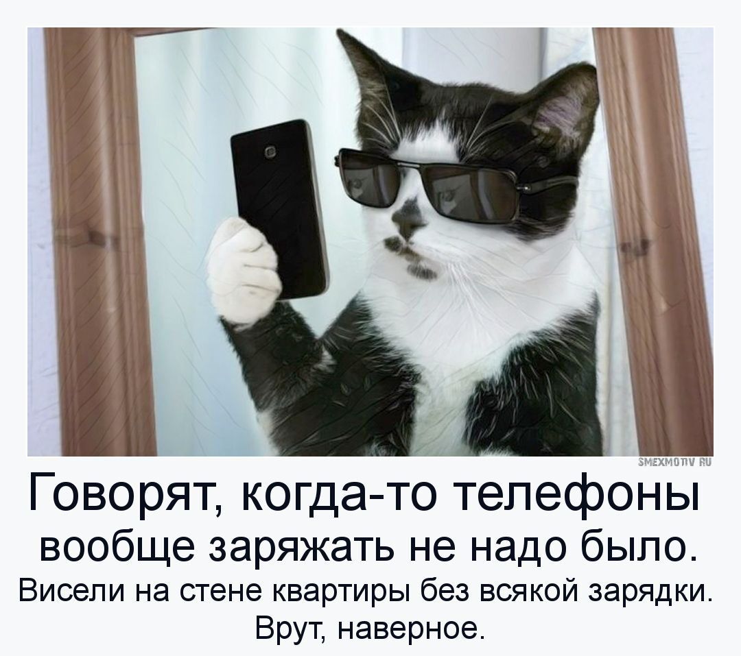 Говорят когда то телефоны вообще заряжать не надо было Висепи на стене квартиры без всякой зарядки Брут наверное