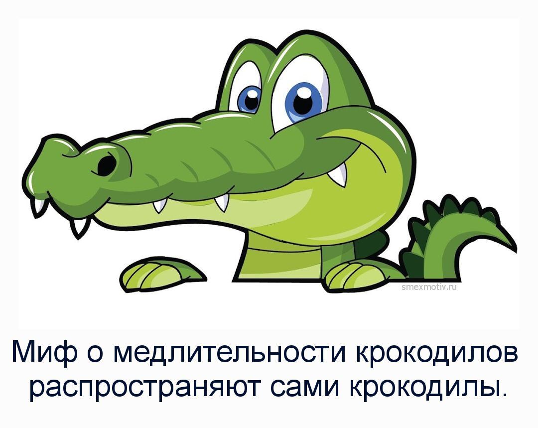 4 Миф о медпитепьности крокодилов распространяют сами крокодилы