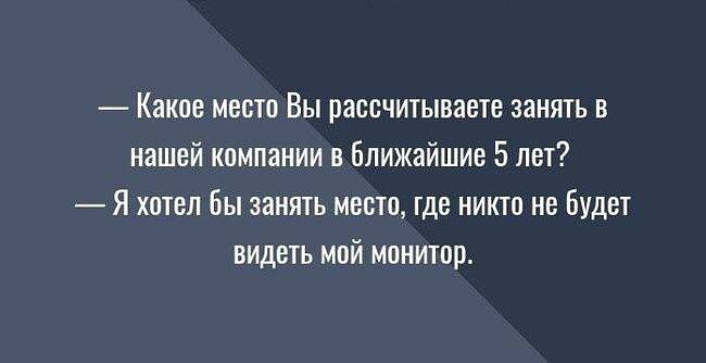 Какое место Вы рассчитываете занять в нашей компании в ближайшие 5 лет Я хотел Бы занять место ще никто не буди виден май мпнитвр