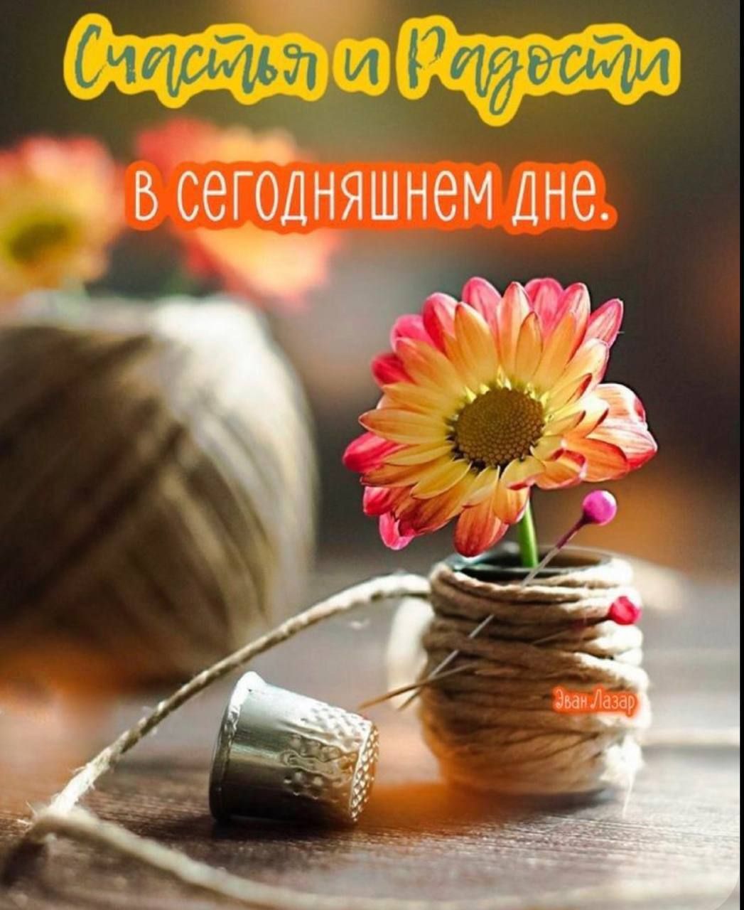 в сняшнем дне