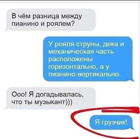 В чём разница между пианино и роялем аа шпиц _ умп_ ции пц 000 Я догадывалась что ты музыкант Аап чий