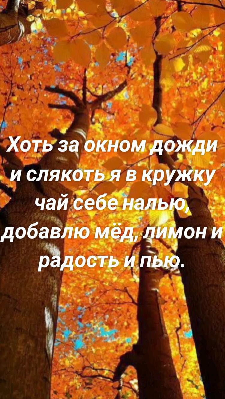 п Хоть за окном дожди и слякоть я в кружку чай себе далью добавлю мёд дЁмОн и рЪдость и Ещо _ при _а