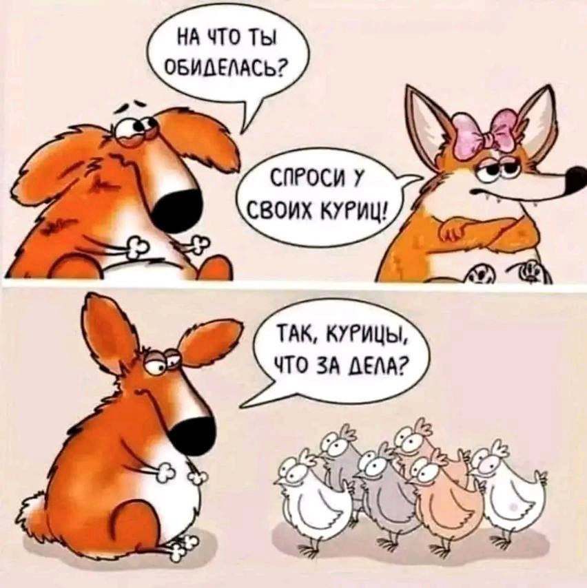 НА ПО Ты ПБИАЕМСЬ ТАК КУРИЦЫ ЧТО ЗА АЁМ