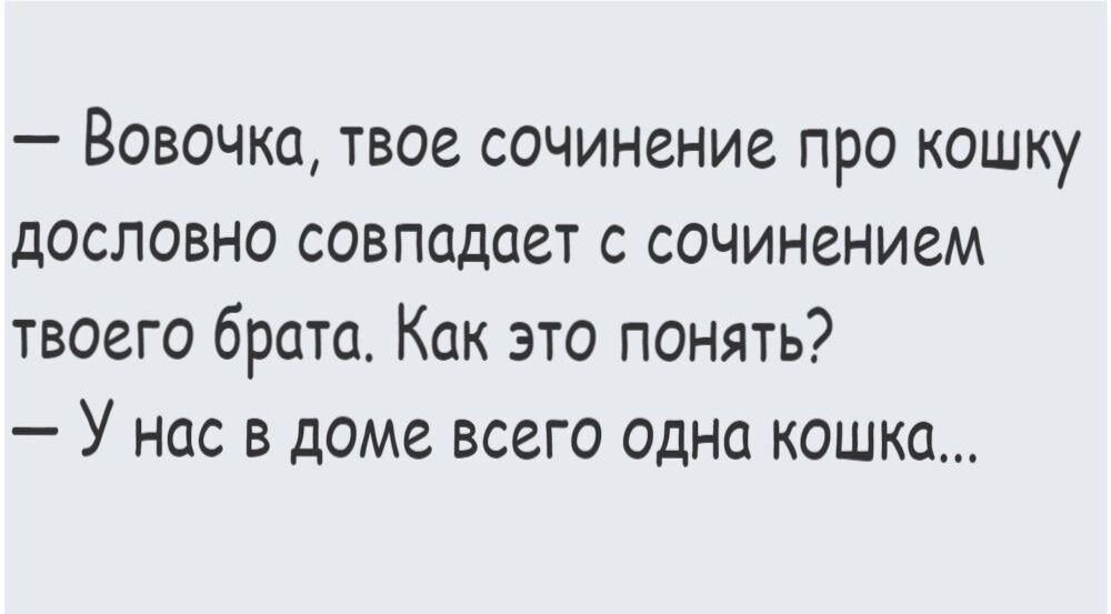 Вовочка твое сочинение про кошку дословно совпадает с сочинением твоего брат Как это понять У нас в доме всего одна кошка