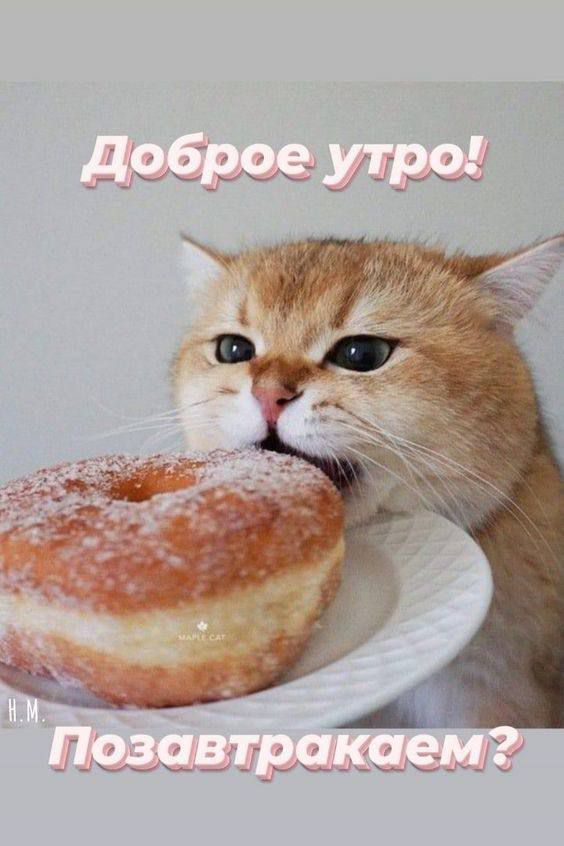 __ __