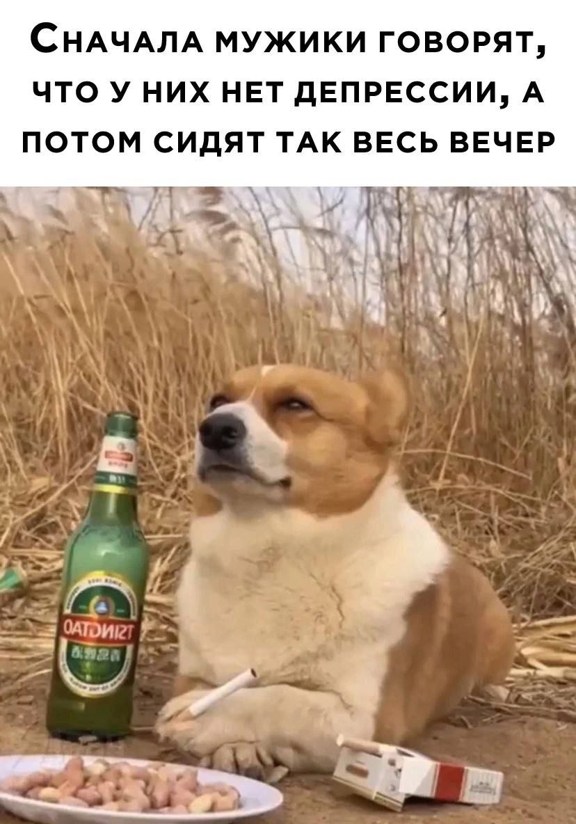 СНАЧАЛА МУЖИКИ ГОВОРЯТ ЧТО У НИХ НЕТ дЕПРЕССИИ А ПОТОМ СИдЯТ ТАК ВЕСЬ ВЕЧЕР