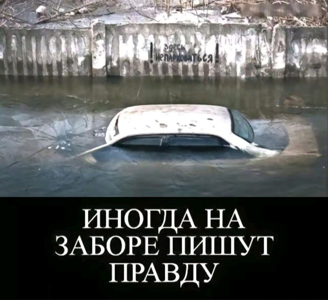 ИНОГДА НА ЗАБОРЕ пишут ПРАВДУ
