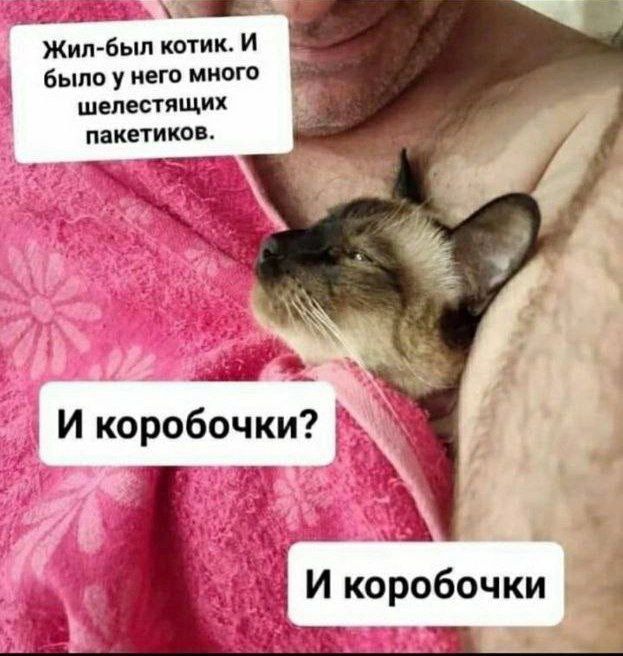 __ Жил был котик И Было у него многи шшестящих пакетиков