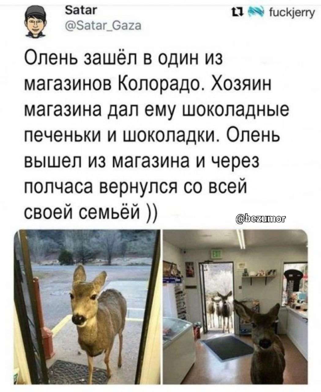 Закат Ц Шсщеггу Зашу 6323 Олень зашёл в один из магазинов Колорадо Хозяин магазина дал ему шоколадные печеньки и шоколадки Олень вышел из магазина и через полчаса вернулся со всей своей семьёй