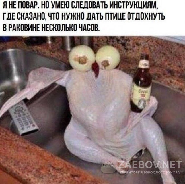 Я НЕ ПОВАР НП УМЕЮ ВЛЕДПВАТЬ ИНСТРУКЦИЯМ ГДЕ СКАЗАНП ЧТП НУЖНО ЛАТЬ ПТИЦЕ ПТДПХНУТЪ Б РМШВИНЕ НЕСКПЛЬКП ЧАВПВ