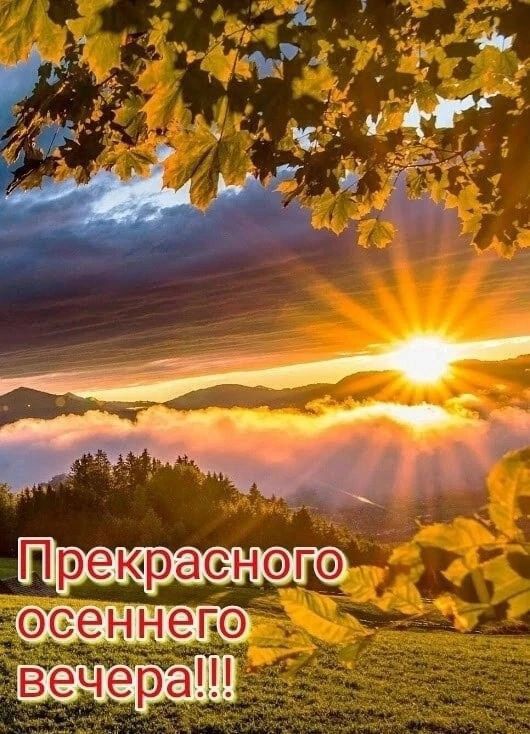 Преюраенэгф сеннегэ вечер