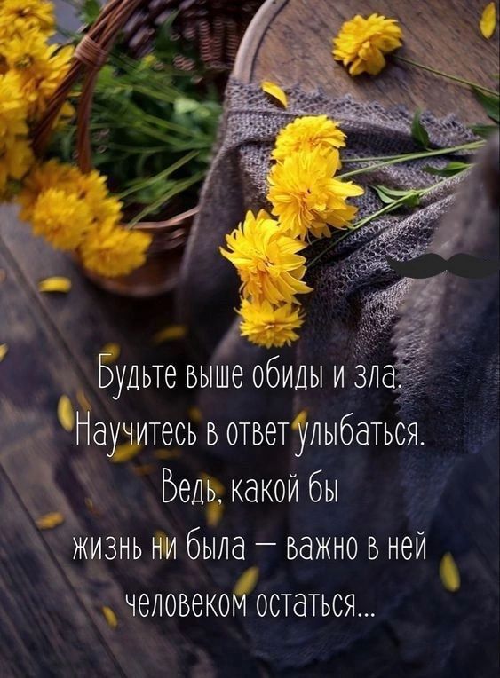 Научитесь в ответ улыбаться Бель какой бы 3 жизнь ни была важно в ней Ч6ЛОБЭК0М ОСТдТЬСЯ