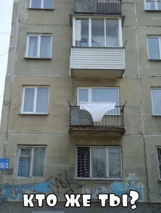 тн __ між кто же ты
