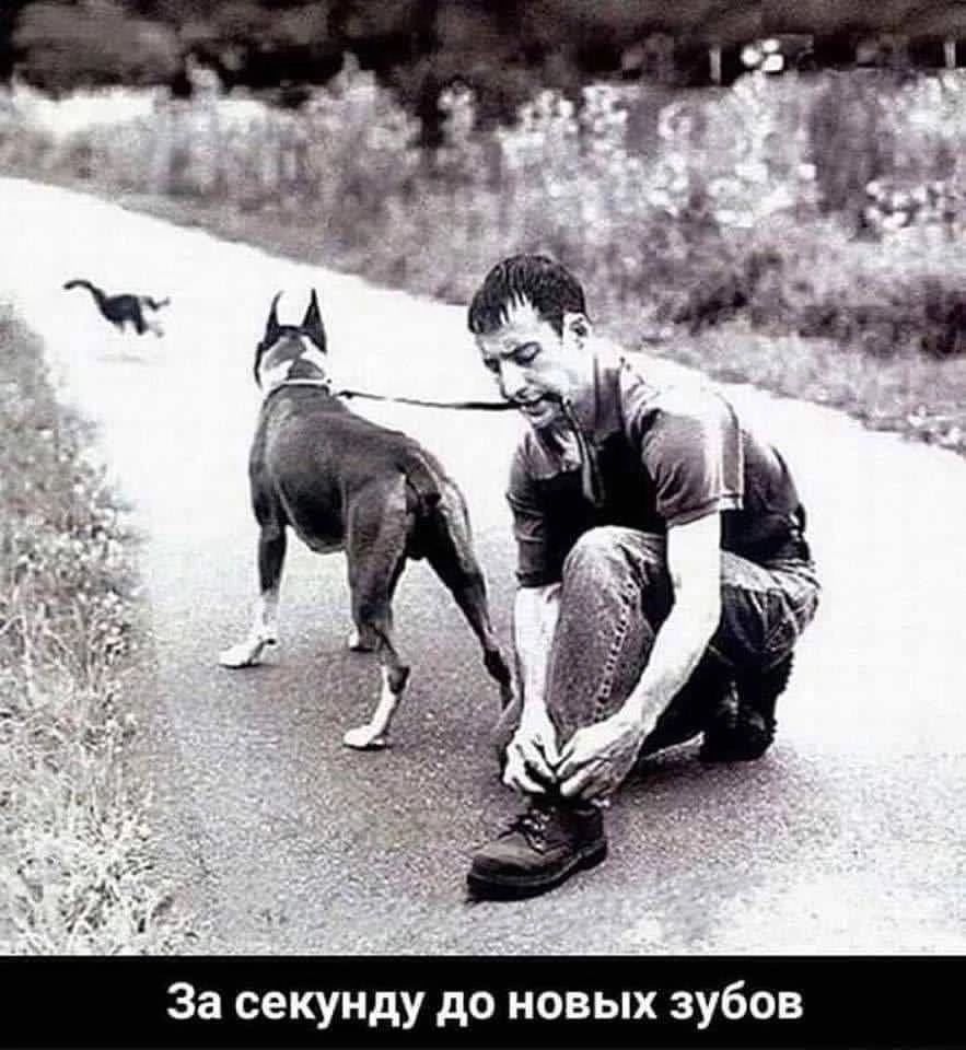 За секунду до новых зубов