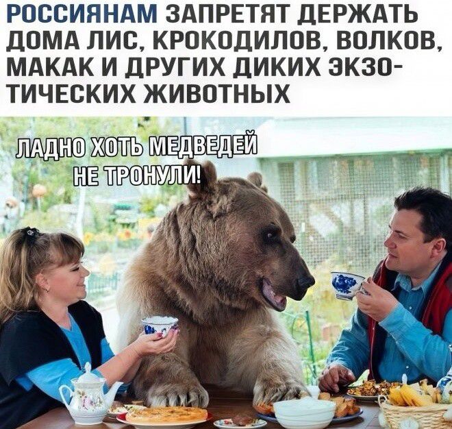 РОССИЯНАМ ЗАПРЕТЯТ ДЕРЖАТЬ ЛОМА ПИО КРОКОДИЛОВ ВОЛКОВ МАКАК И дРУГИХ дИКИХ ЭКЗО ТИЧЕСКИХ ЖИВОТНЫХ