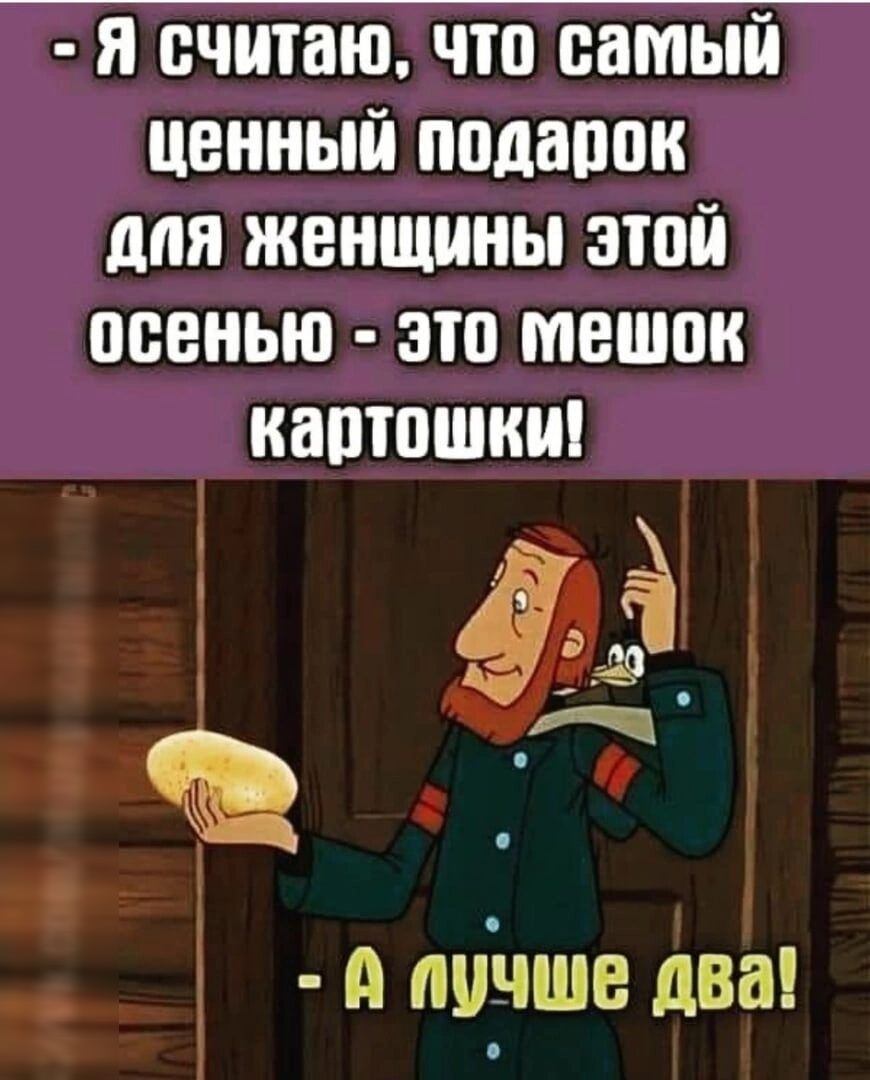 я считаю что самый ценный подарок для женщины этой осенью зто мешок каотошнш 33 о почте два