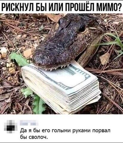 РИСКНУЛ Б_Ы ИЛИ ПРОШЁП МИМП да я бы его голыми руками порвал бы свопоч