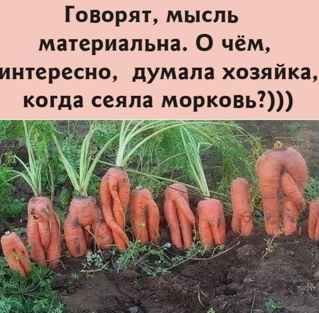 Говорят мысль материальна О чём нтересно думала хозяйка